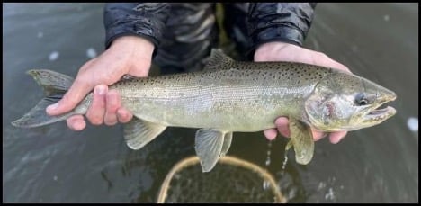 10-30-25_kevin-2.jpg 10-30-25_kevin-2.jpg