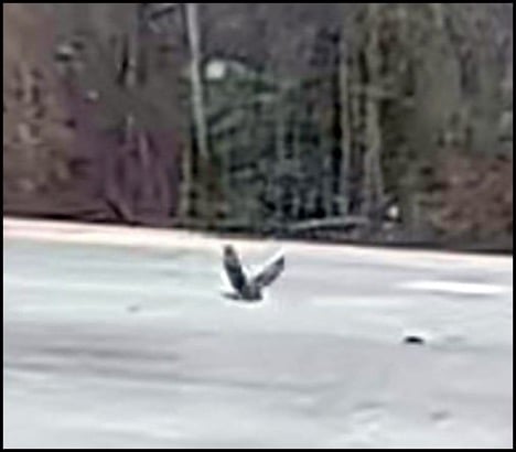 2-26-26-brian-3.jpg 2-26-26-brian-3.jpg