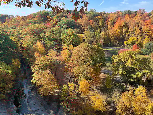 Eastern-Ledge-22.jpg Eastern-Ledge-22.jpg