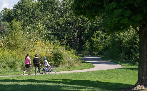  A family enjoys a leisurely walk on a park path, surrounded by greenery and the beauty of nature.