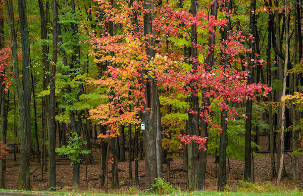 KCL_3415.jpg KCL_3415.jpg