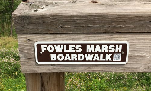 Fowles Marsh