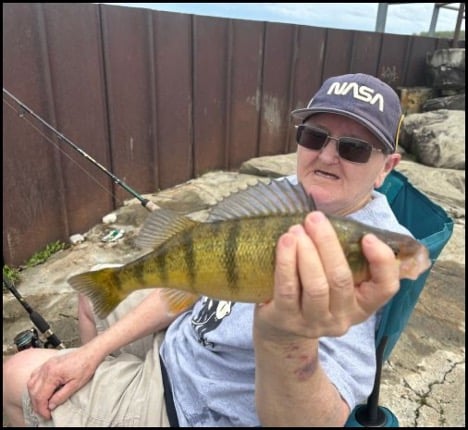 5-15-25-perch.jpg