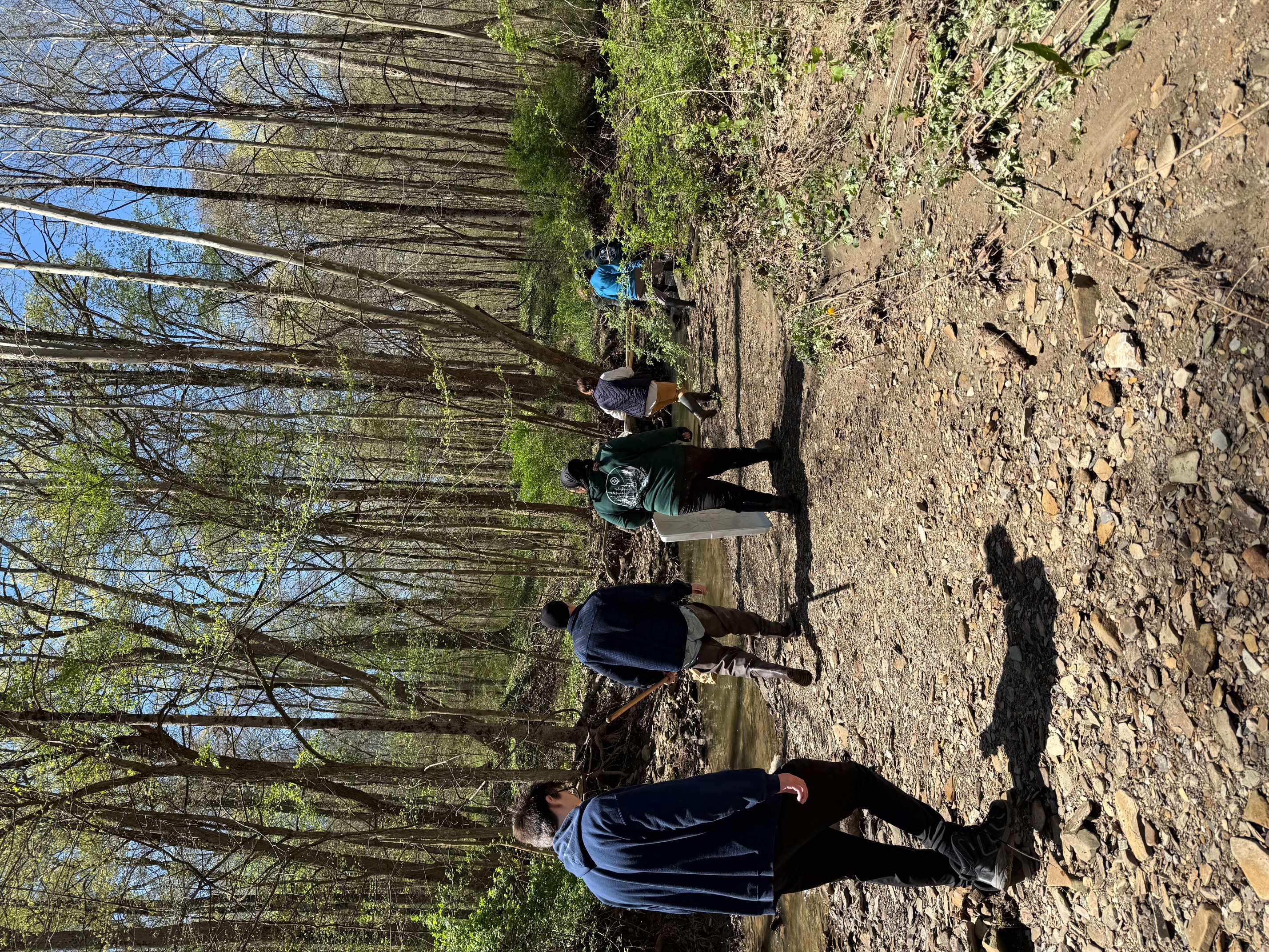 IMG_4701-1.jpg IMG_4701-1.jpg