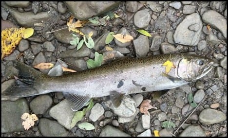 11-6-25-jeremy.jpg 11-6-25-jeremy.jpg