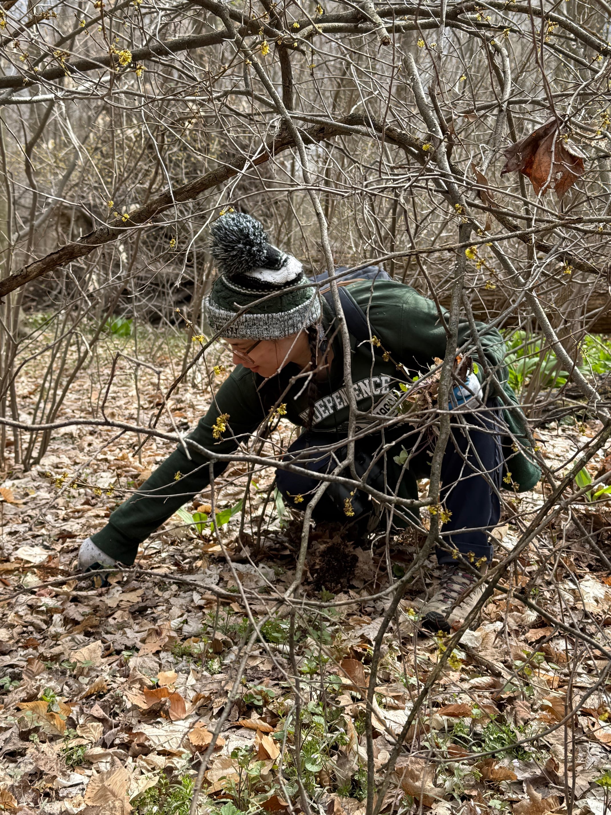 IMG_4507-2.jpg IMG_4507-2.jpg