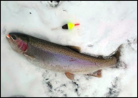 2-26-26-mike-2.jpg 2-26-26-mike-2.jpg