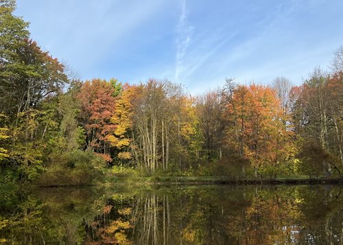 trees are reflected in the water of a lake in the fall, a picture inspired by Henry Carr, instagram contest winner, hudson river school, colors reflecting on lake, trees reflecting on the lake, a photo of a lake on a sunny day