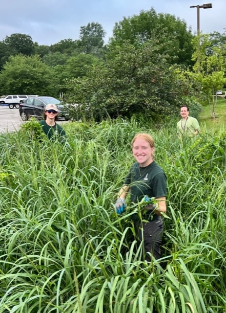 NR-Seasonals-and-Watershed-Volunteers-help-weed-a-bioretention-cell-at-West-Creek.jpg