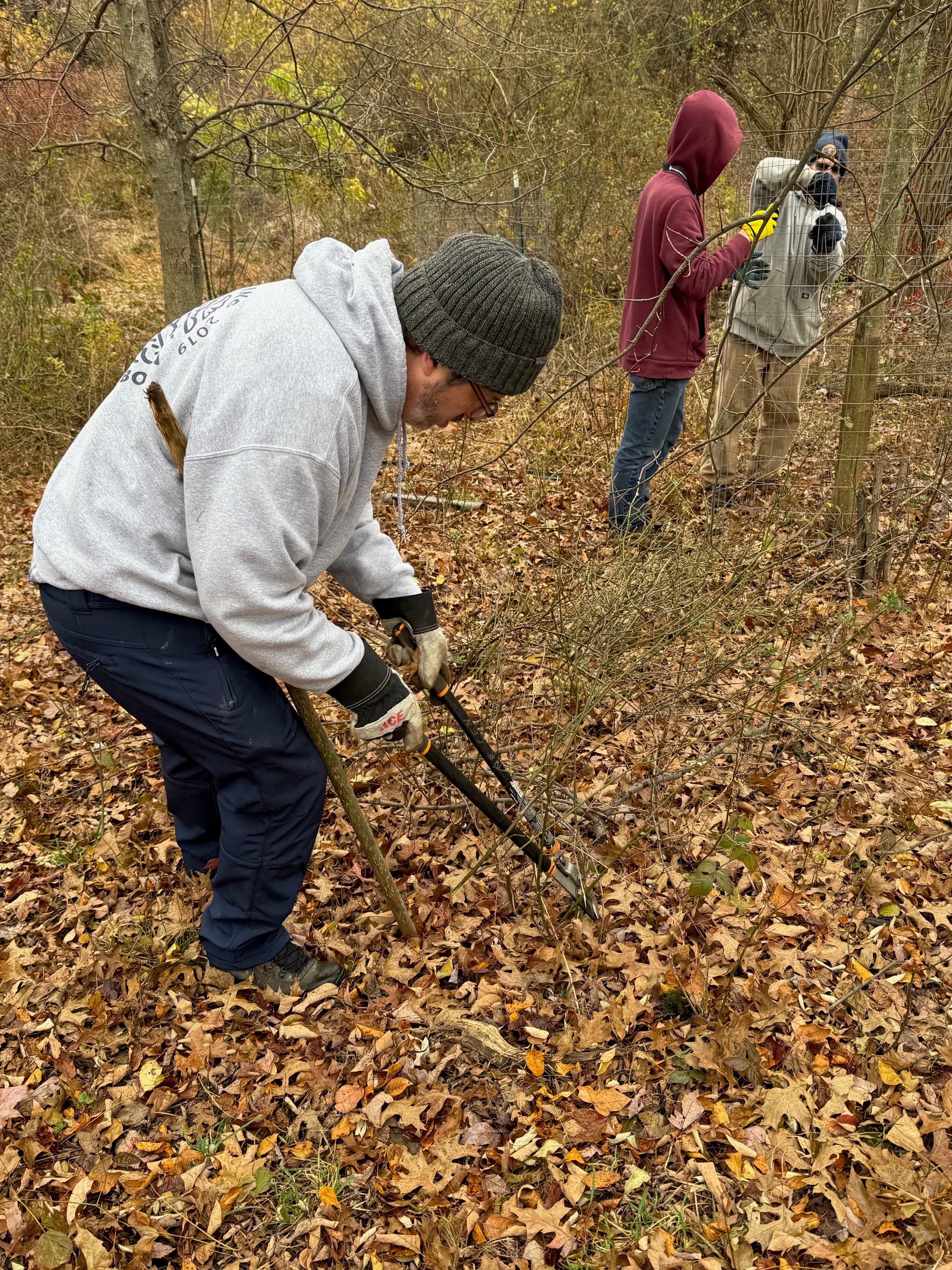 IMG_6953-1.jpg IMG_6953-1.jpg