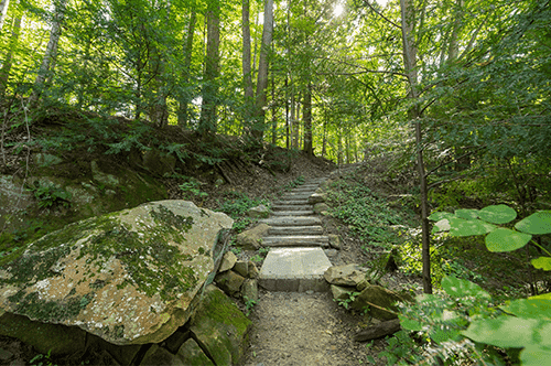Gorge-Loop-Trail-(1).png A picturesque path winding through a wooded area, featuring lush trees and rugged rocks along the way.