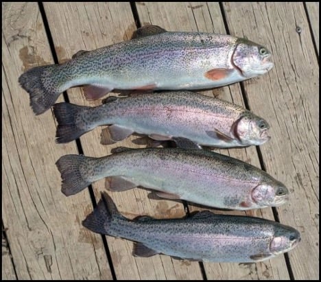 4-9-26-greg.jpg 4-9-26-greg.jpg