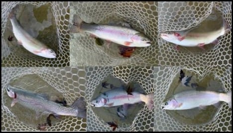 11-6-25-steve-2.jpg 11-6-25-steve-2.jpg