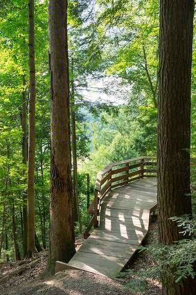 Overlook-Trail-North-Chagrin-Reservation.jpg