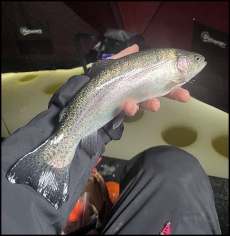 1-29-26-nick-1.jpg 1-29-26-nick-1.jpg