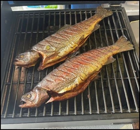 1-29-26-jared-4.jpg 1-29-26-jared-4.jpg